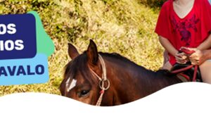 benefícios de andar a cavalo