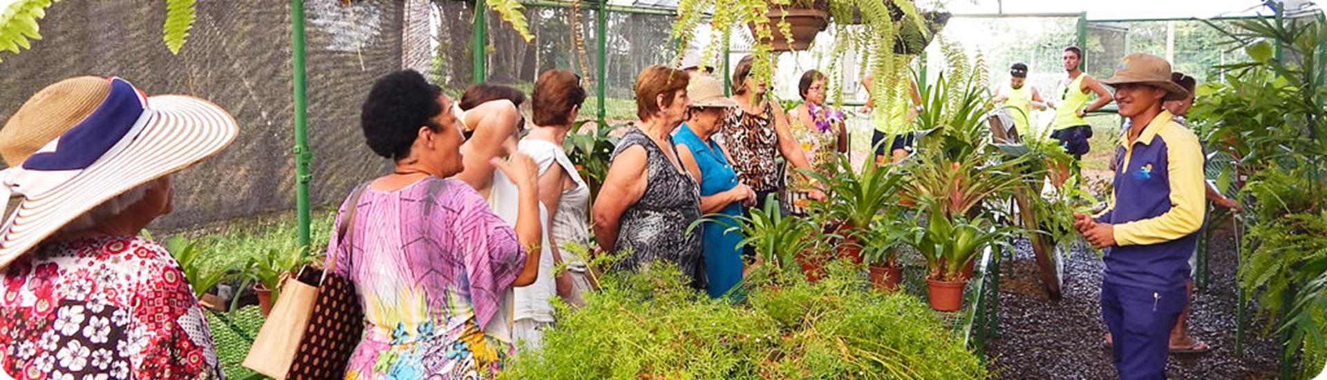 Grupo da melhor idade na estufa de plantas do Aguativa.