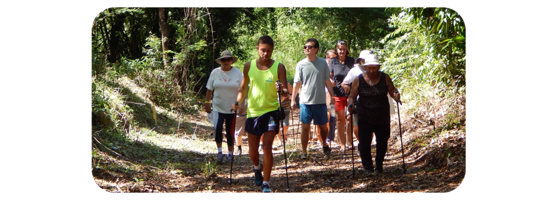 Trilhas pela mata que cerca o Aguativa.