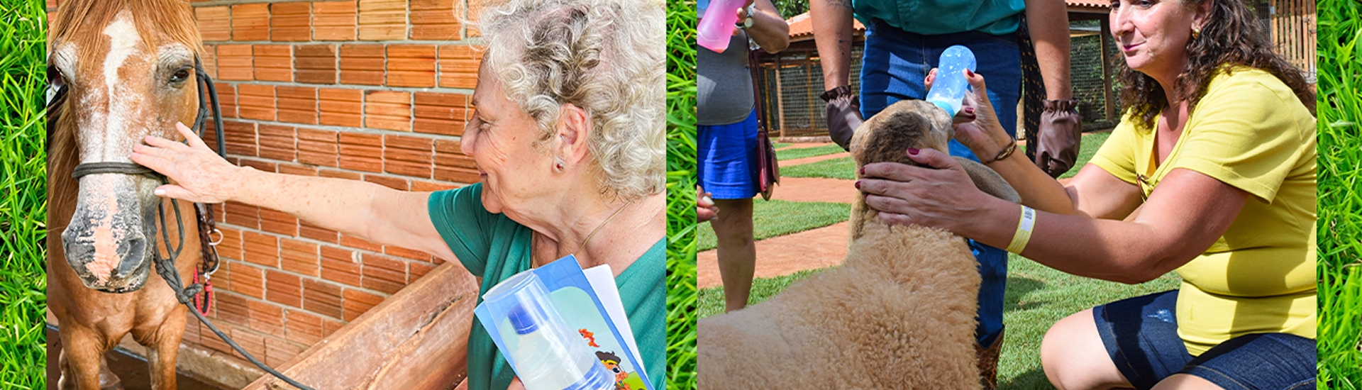 Melhor idade dando de mamar e fazendo carinho no animas da Fazendinha.