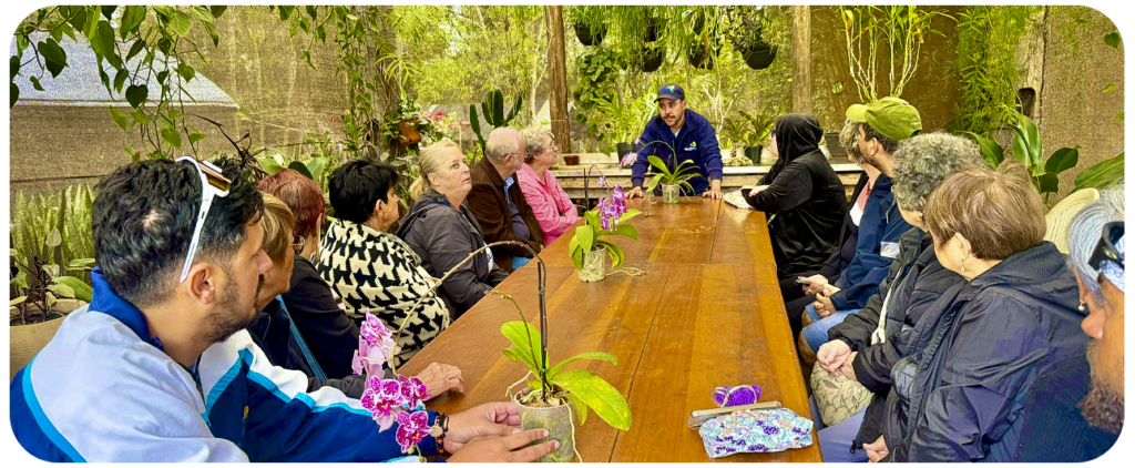 Hóspedes sentados à mesa em meio às plantas da estufa do Aguativa.